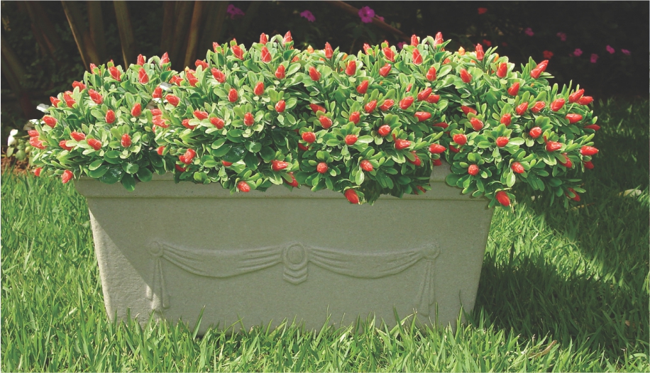 Low Garland Window Box