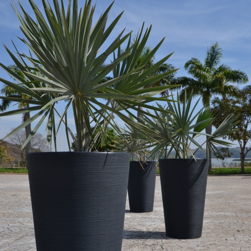 Linea Conic Planter