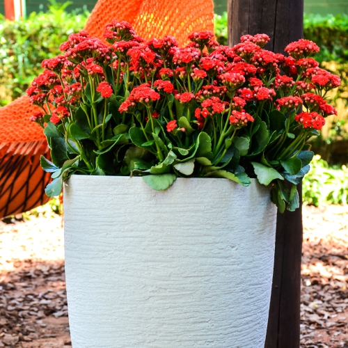 Modern Conic Planter